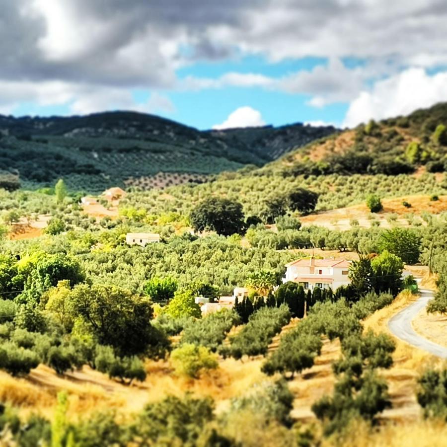 Cortijo Pennymaria Poolside Apartment Near Montefrio With Stunning Views Buitenkant foto