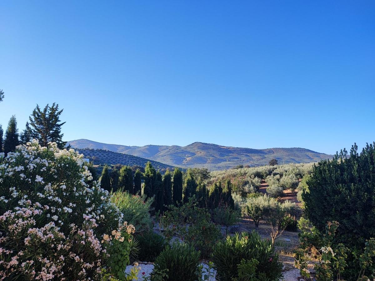 Cortijo Pennymaria Poolside Apartment Near Montefrio With Stunning Views Buitenkant foto
