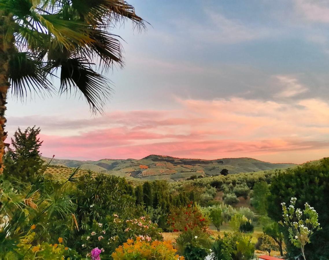 Cortijo Pennymaria Poolside Apartment Near Montefrio With Stunning Views Buitenkant foto